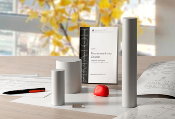 Рисуночный тест Силвер. Диагностика когнитивной и эмоциональной сфер личности фото 5852